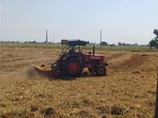 Stubble Cutting by Reaper.JPG